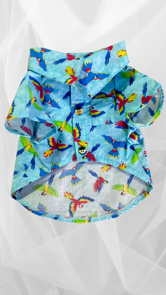 CAMISA AZUL GUACAMAYA